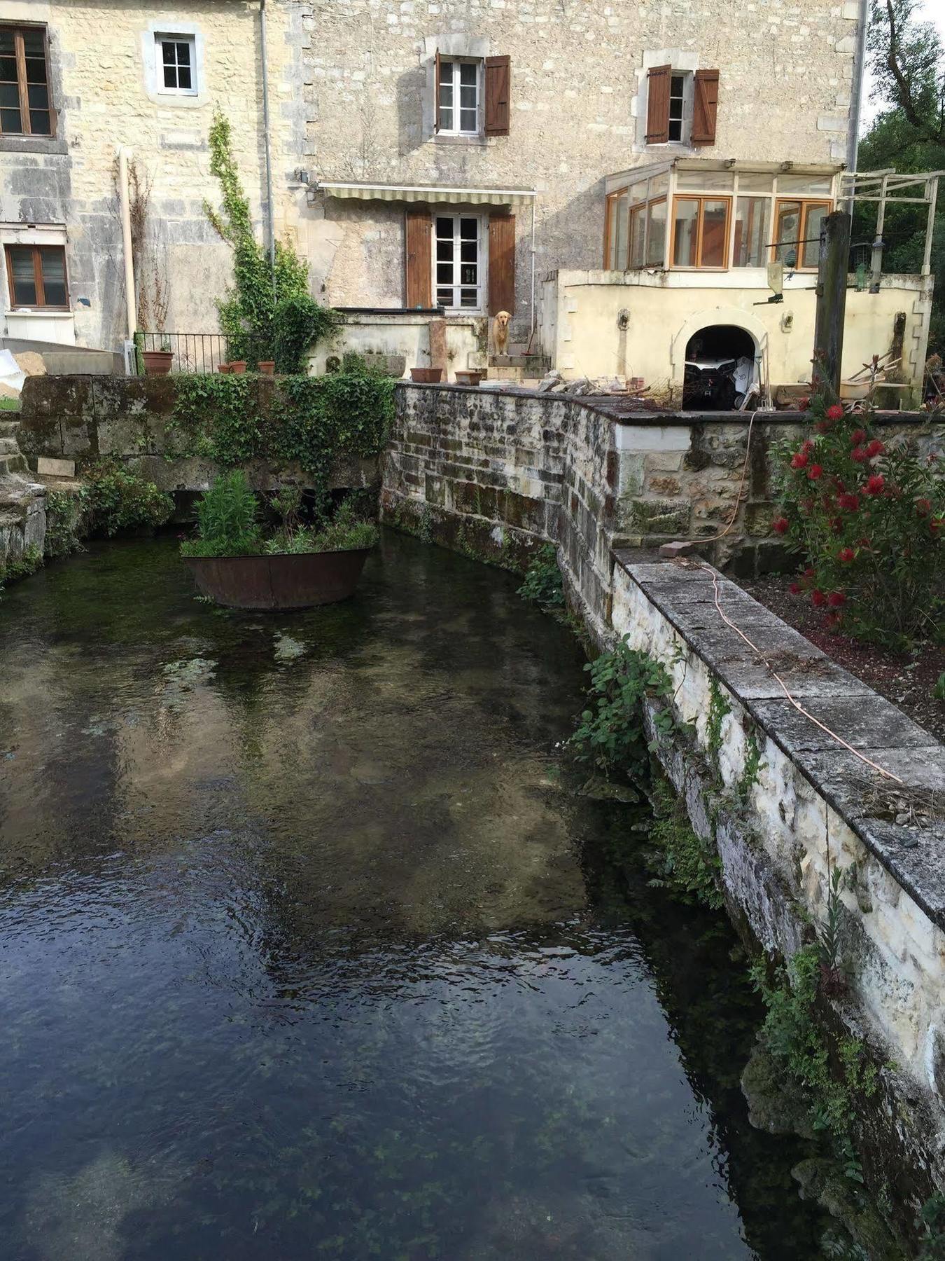 Petit Moulin De Veillard Villa Bourg-Charente Exterior foto